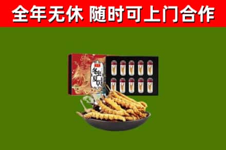 江北区回收冬虫夏草价格